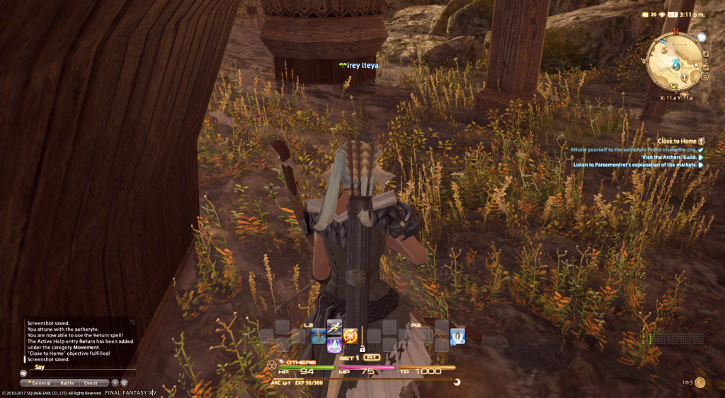 ffxiv_05222017_151112.png
