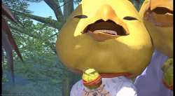 ffxiv_07152018_054241.png